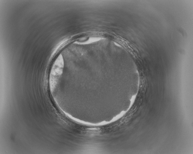 X0000115400053200912151528