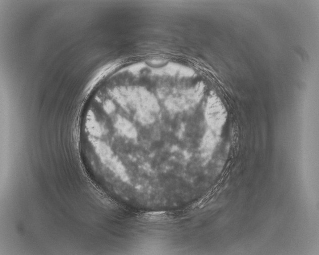 X0000115400054200912151528