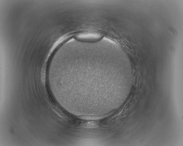 X0000115400056200912151528