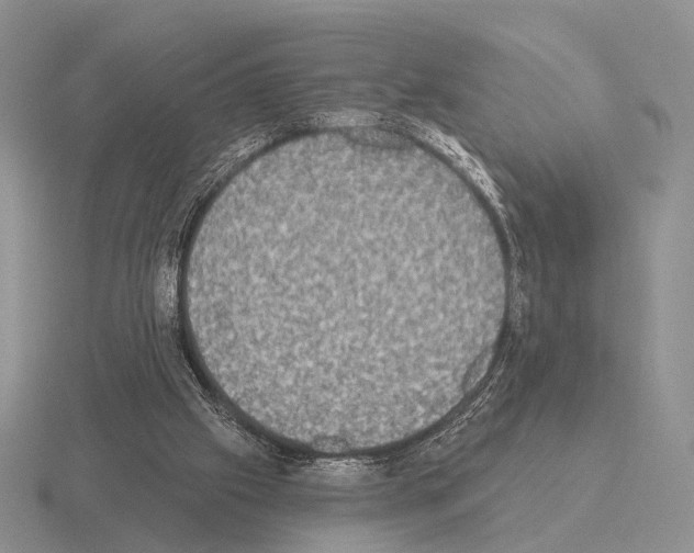 X0000115400057200912151528