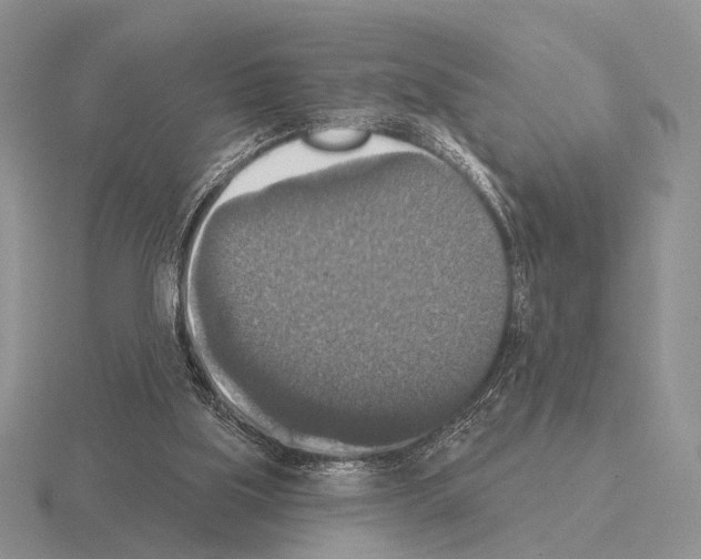 X0000115400059200912151529