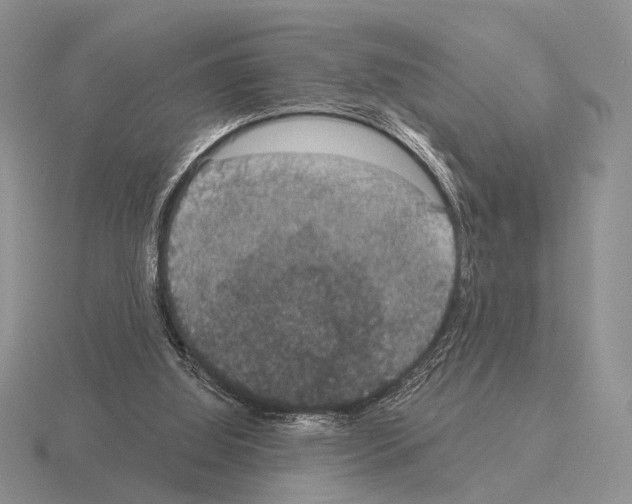 X0000115400060200912151529