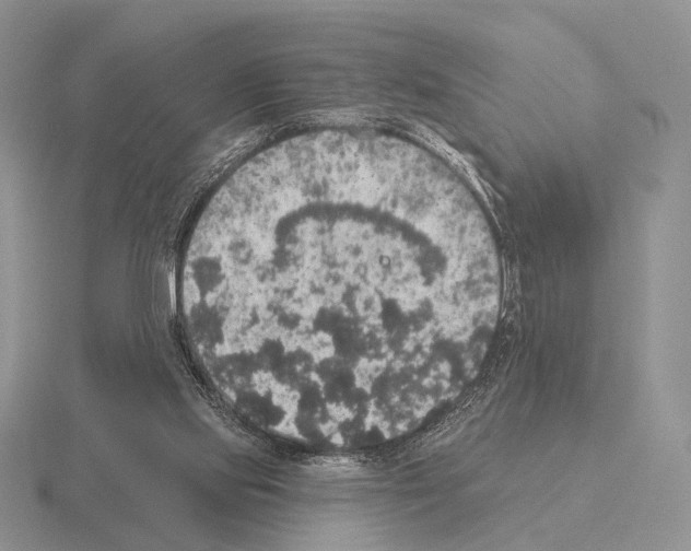 X0000115400061200912151529