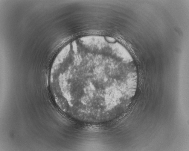 X0000115400062200912151529