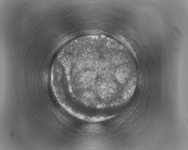 X0000115400063200912151529