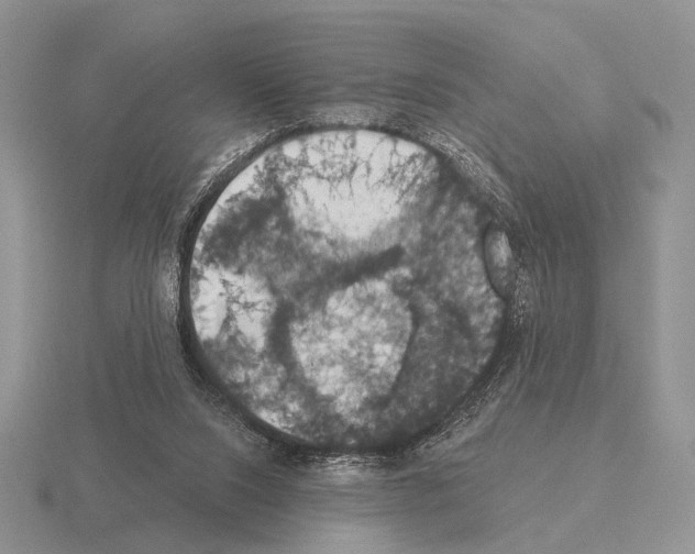 X0000115400064200912151529