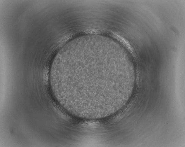 X0000115400065200912151529