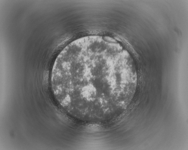 X0000115400066200912151529