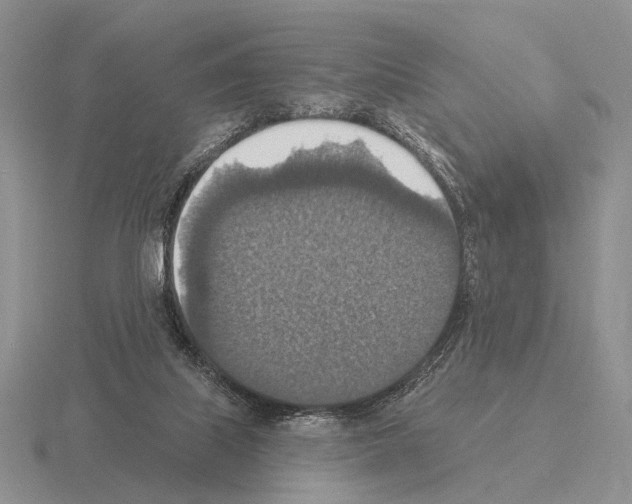 X0000115400067200912151529