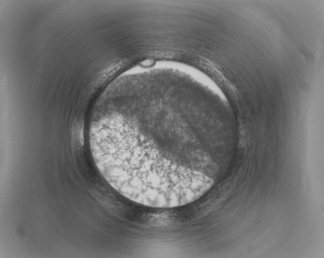 X0000115400068200912151529