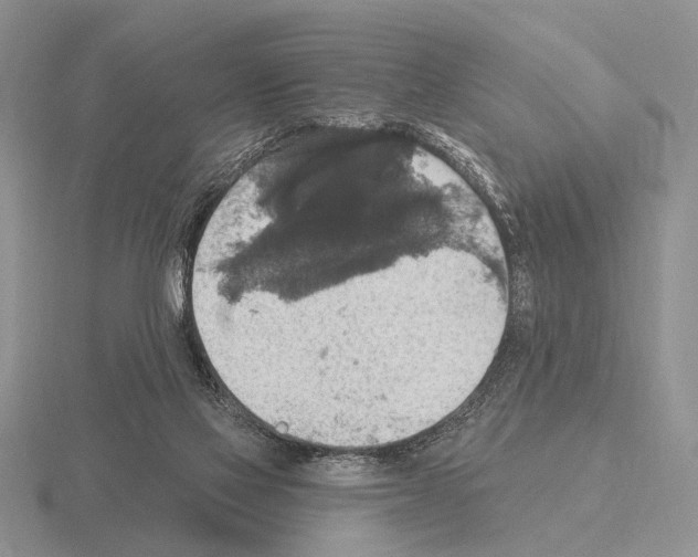 X0000115400069200912151529