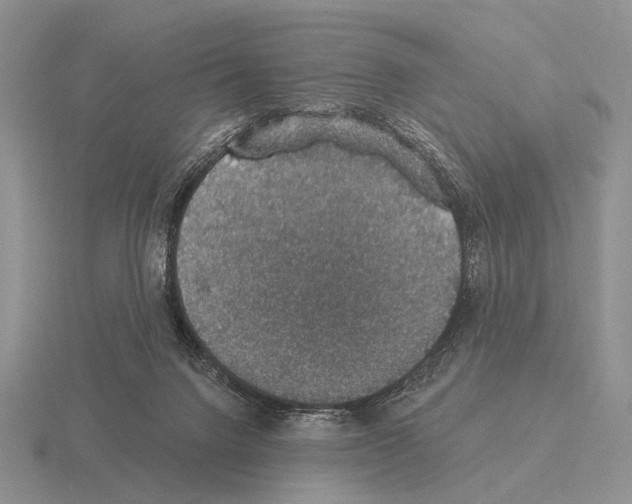 X0000115400072200912151529