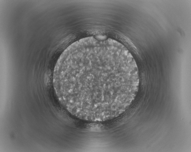 X0000115400073200912151529