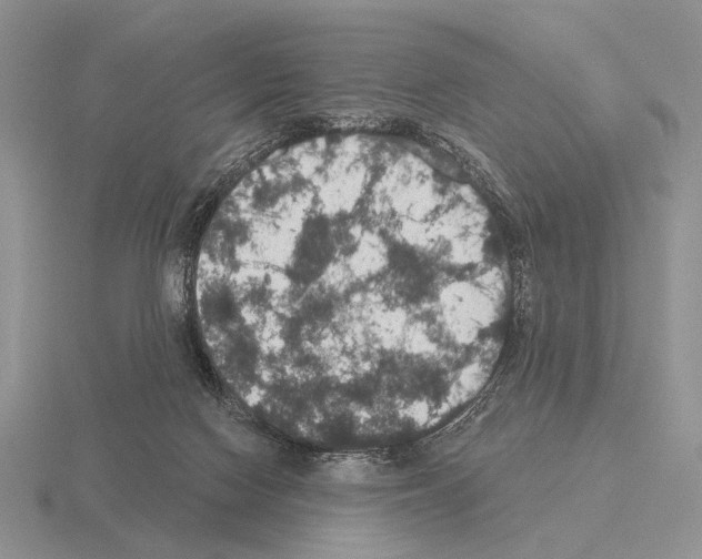 X0000115400074200912151529