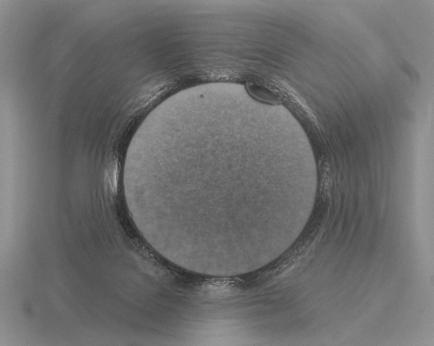 X0000115400076200912151529