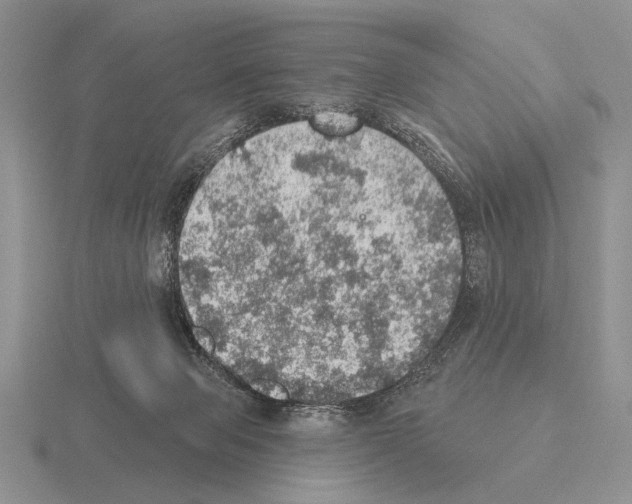 X0000115400077200912151529