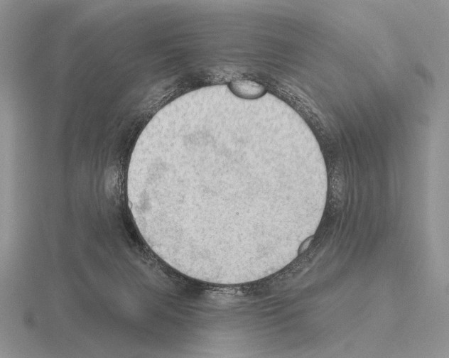 X0000115400079200912151529