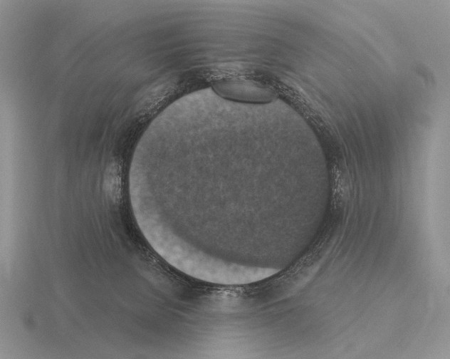 X0000115400080200912151529