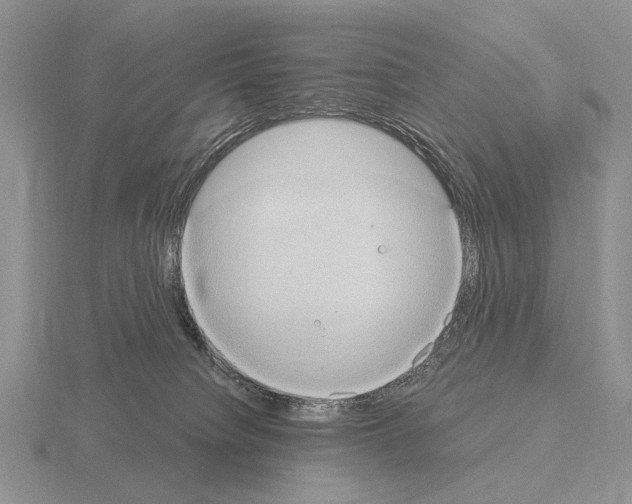 X0000115400084200912151529