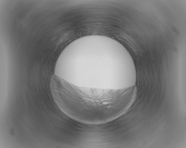 X0000115400086200912151529