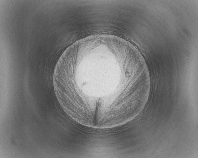 X0000115400087200912151529