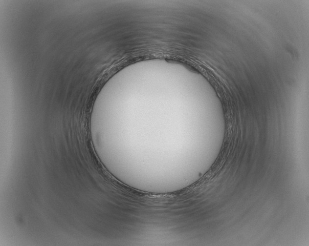 X0000115400088200912151529