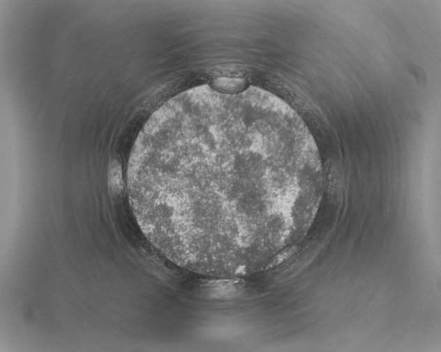 X0000115400089200912151529