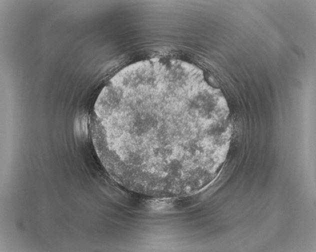 X0000115400094200912151529