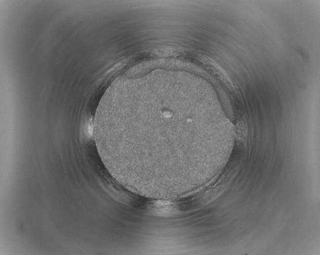 X0000115400095200912151529