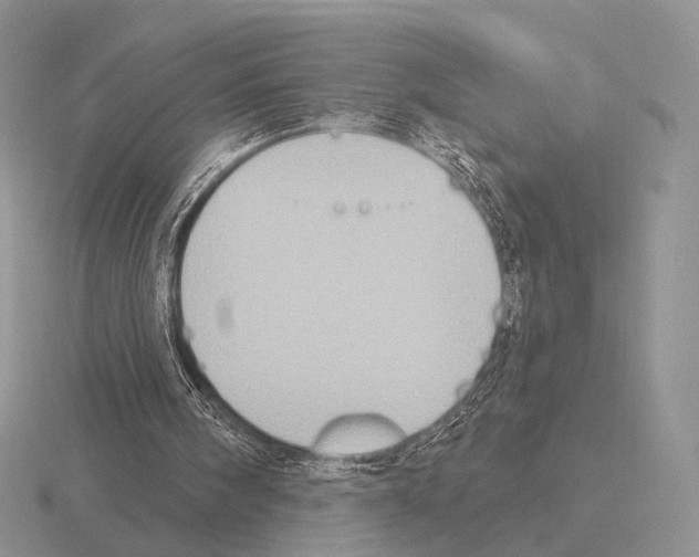 X0000115400098200912151528