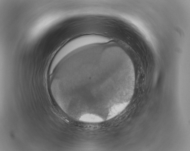 X0000115400099200912151528