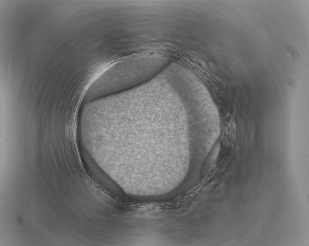 X0000115400100200912151528