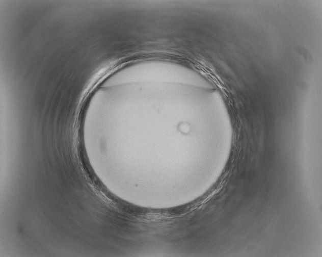 X0000115400101200912151528