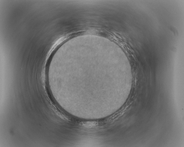 X0000115400102200912151528