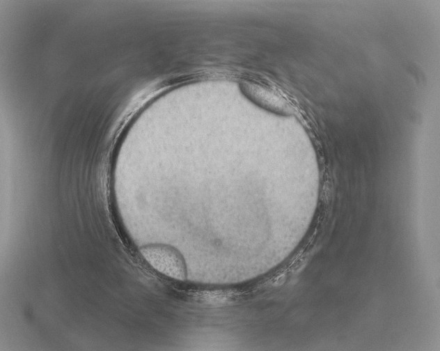 X0000115400103200912151528