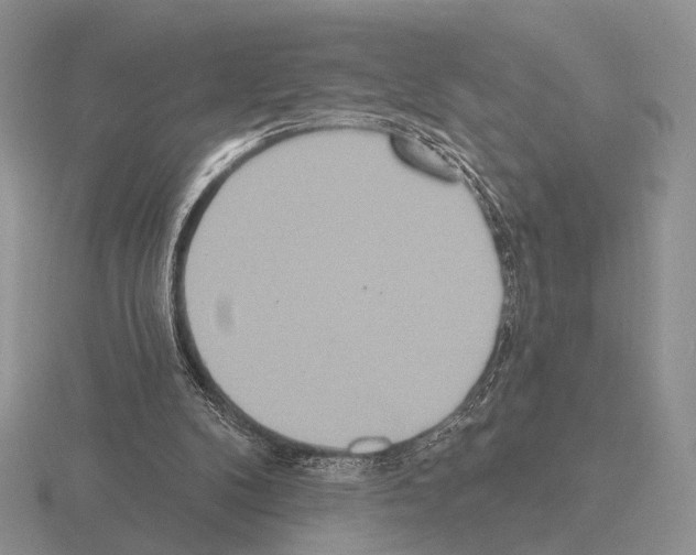 X0000115400104200912151528