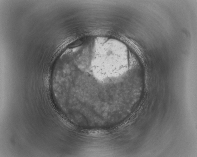 X0000115400105200912151528