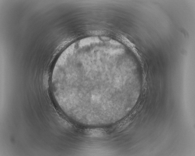 X0000115400106200912151528