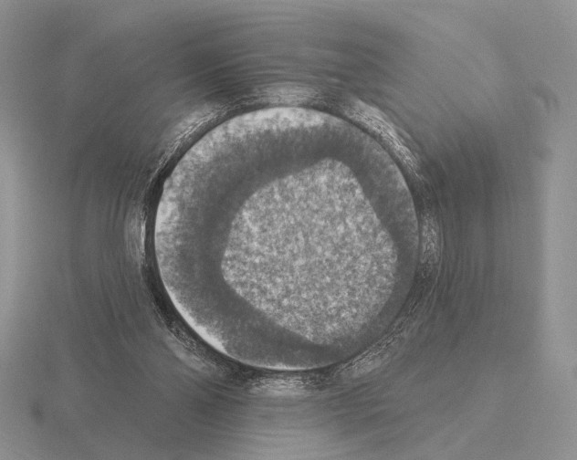 X0000115400110200912151528