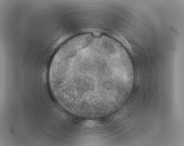 X0000115400111200912151528