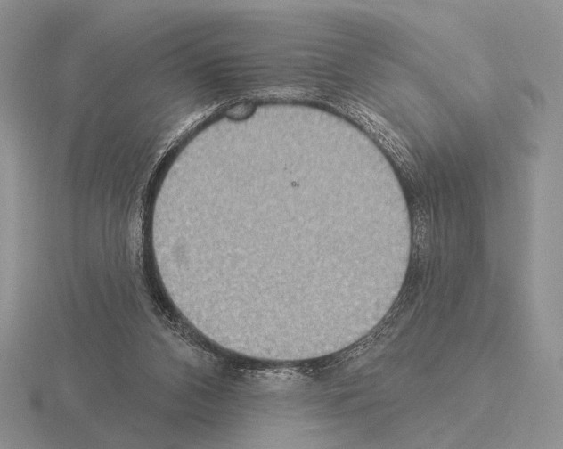 X0000115400112200912151528