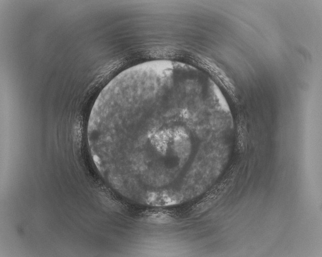 X0000115400113200912151528