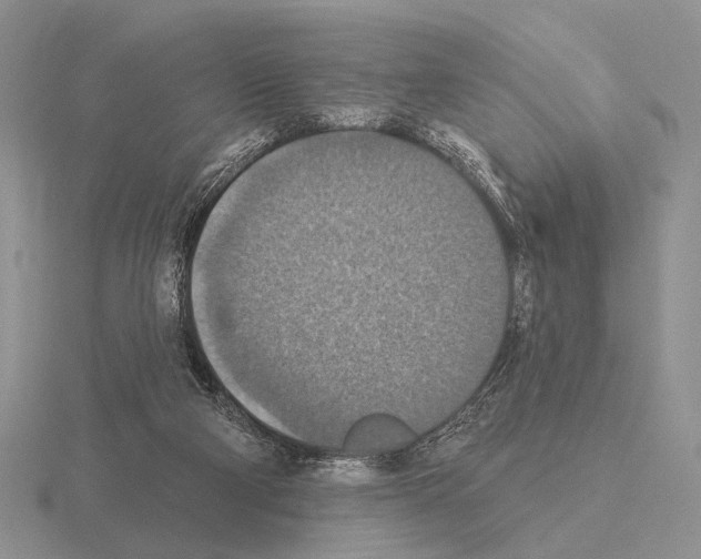 X0000115400114200912151528