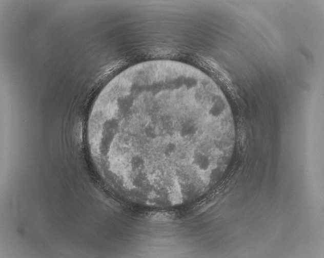 X0000115400115200912151528