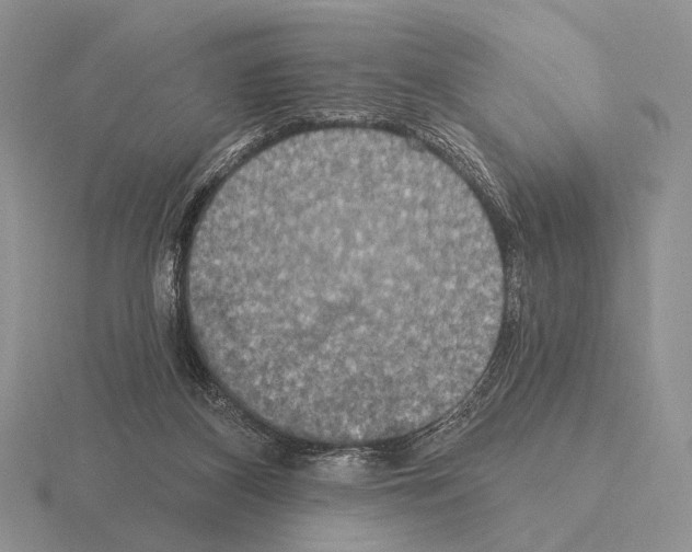 X0000115400116200912151528