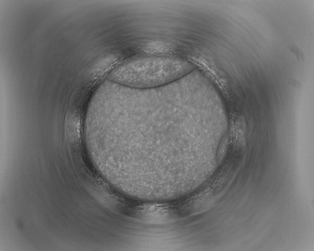 X0000115400117200912151528