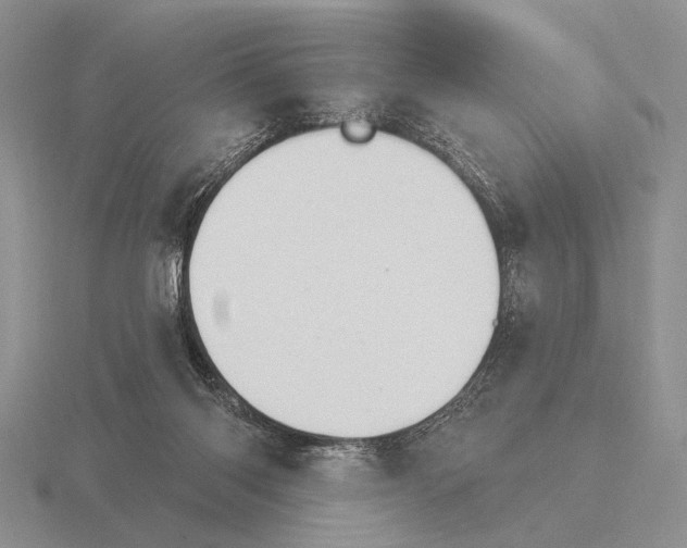 X0000115400118200912151528