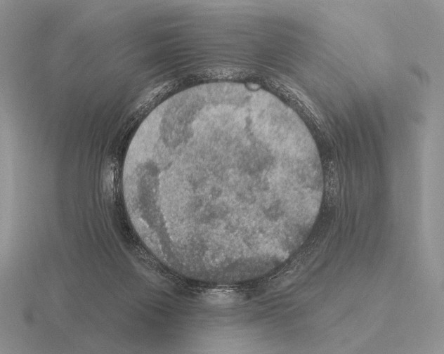 X0000115400119200912151528