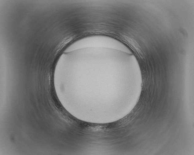 X0000115400120200912151528