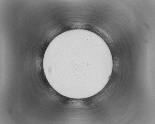 X0000115400121200912151528